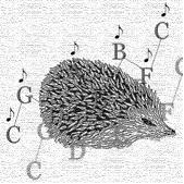 hedgehogweb.jpg